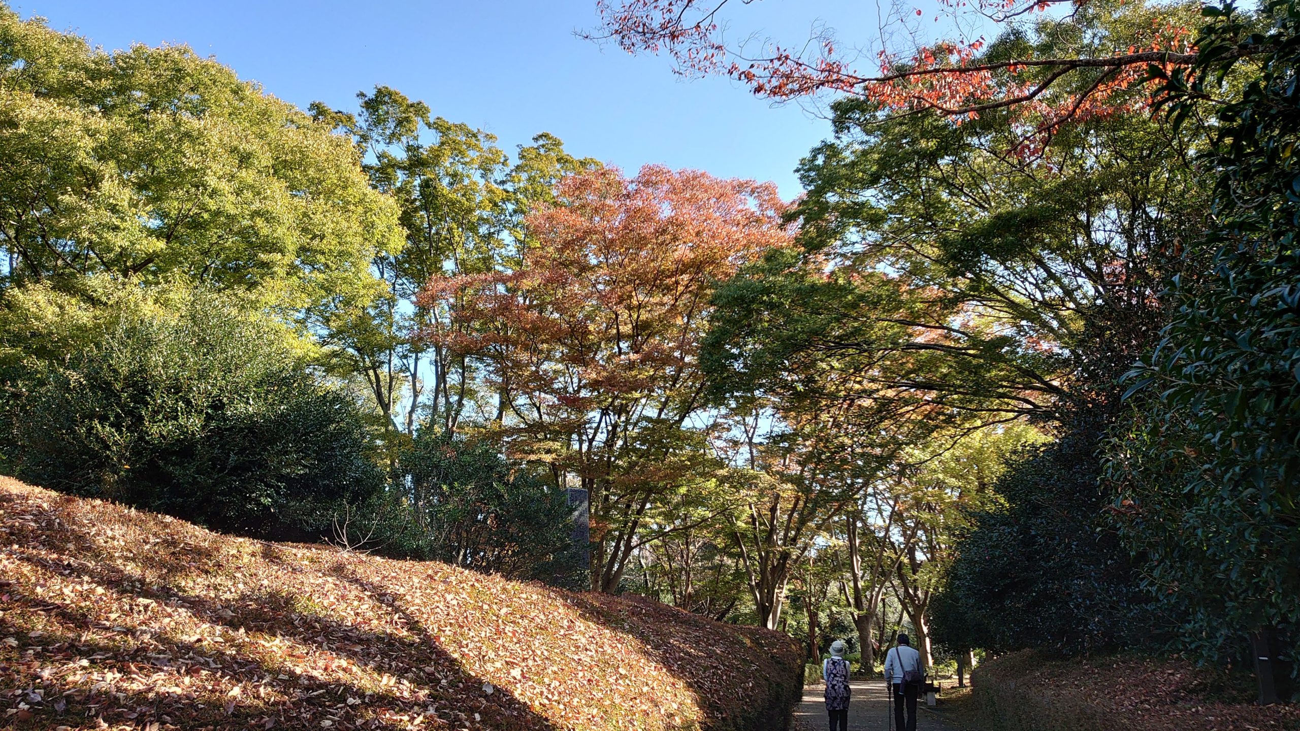 DSC 2180 1 scaled 県立美術館